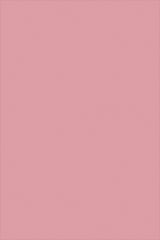 Фламинго розовыйU363 ST9