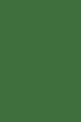 9561 BS Зеленый ОксидNCS S 3060-G10Y_RAL 6029_Pantone 349